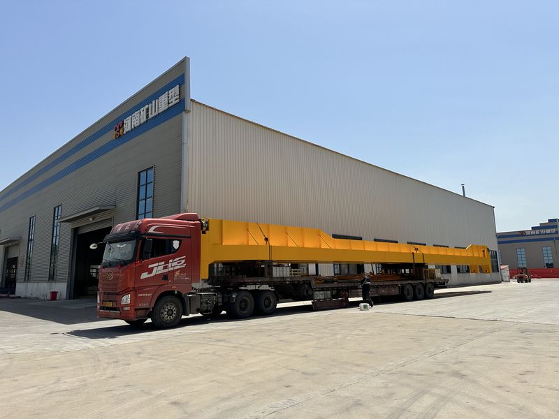 龍佰集團選用我公司QD25/5t，跨度28.5m通用橋式起重機